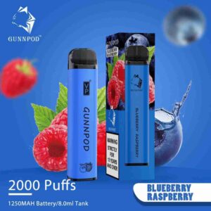 Blueberry Raspberry-2000 Puffs