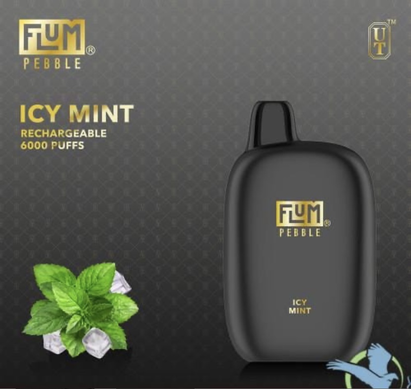 Icy Mint | Img 3486 Icy Mint