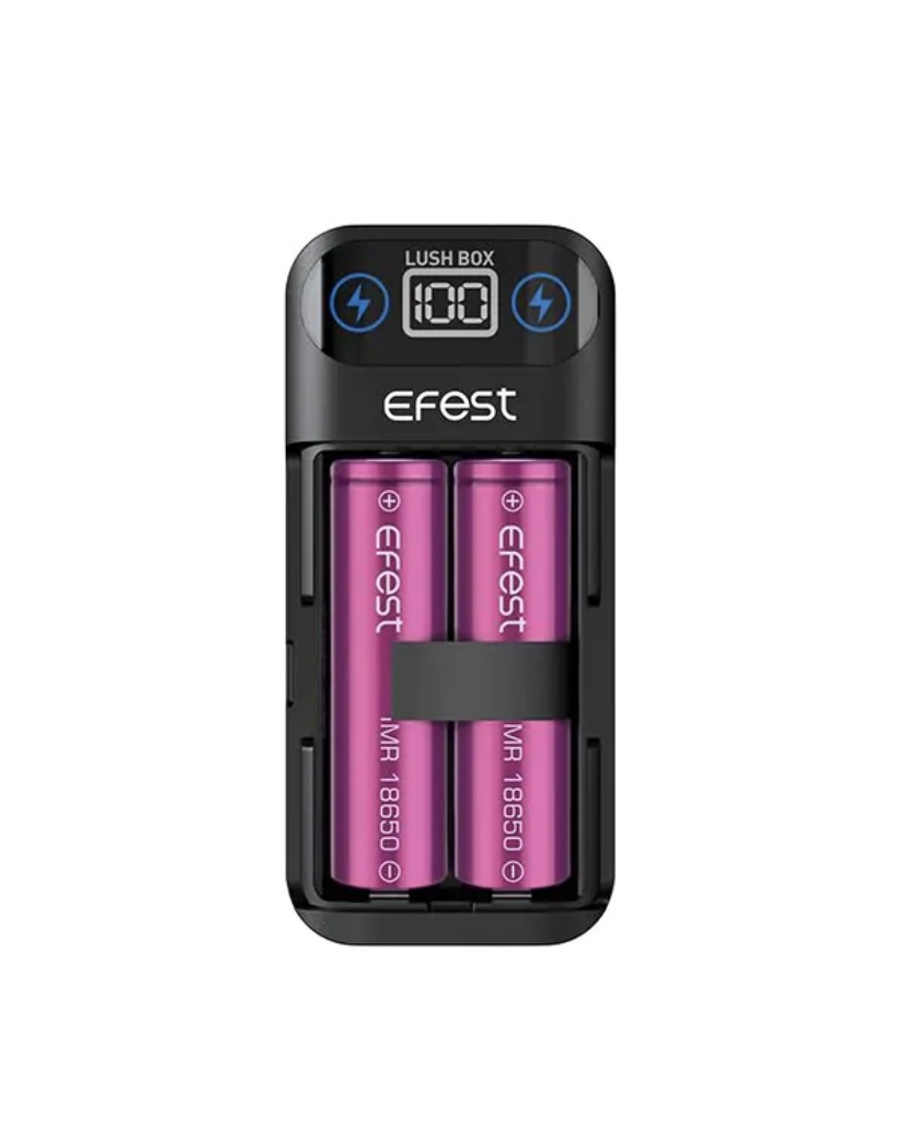 Efest Lush Box Battery Charger | Img 4110 EFEST LUSH BOX BATTERY CHARGER - Image 2