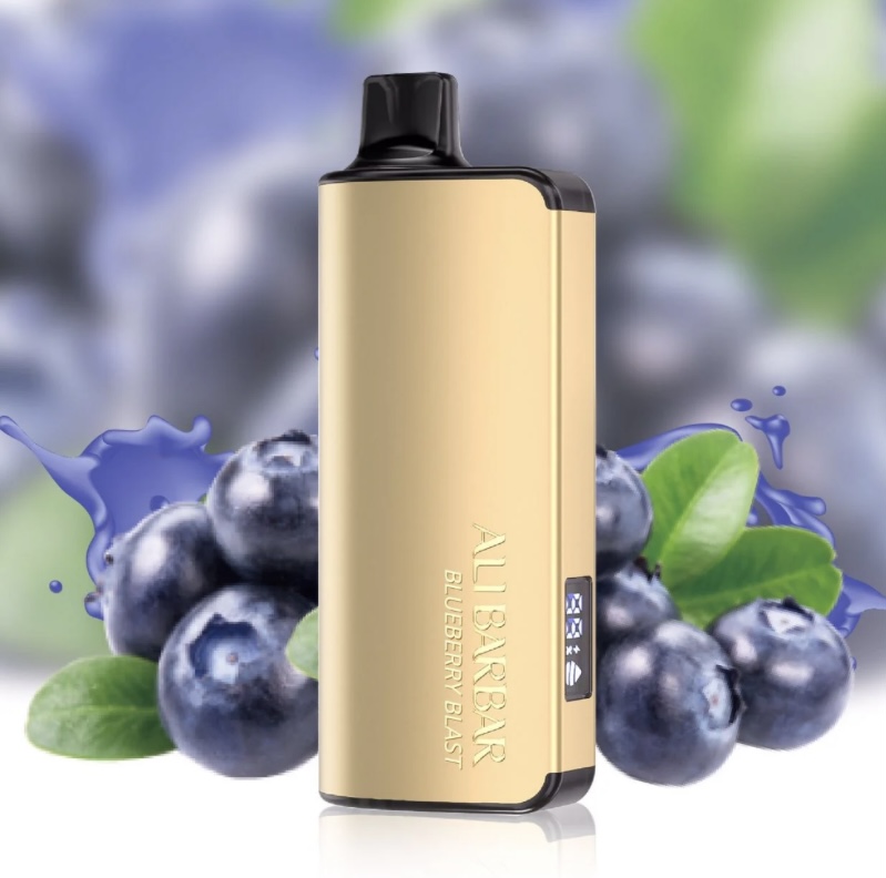Alibarbar Ingot Blueberry Blast 9000 Puffs | Img 5481 ALIBARBAR INGOT BLUEBERRY BLAST 9000 PUFFS