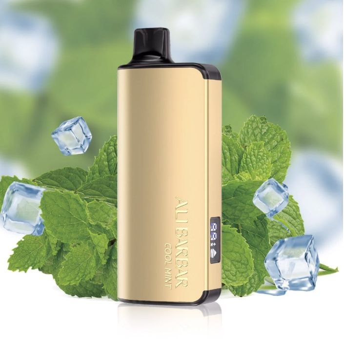 Alibarbar Ingot Cool Mint 9000 Puffs | Img 5484 ALIBARBAR INGOT COOL MINT 9000 PUFFS