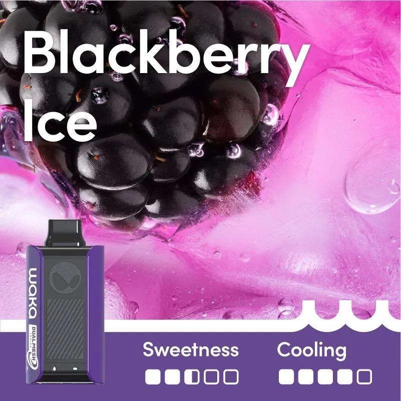 Blackberry Ice – Sopro 10,000 | Waka Sopro 10000 Blackberry Ice Dual Modes Blackberry Ice – SOPRO 10,000