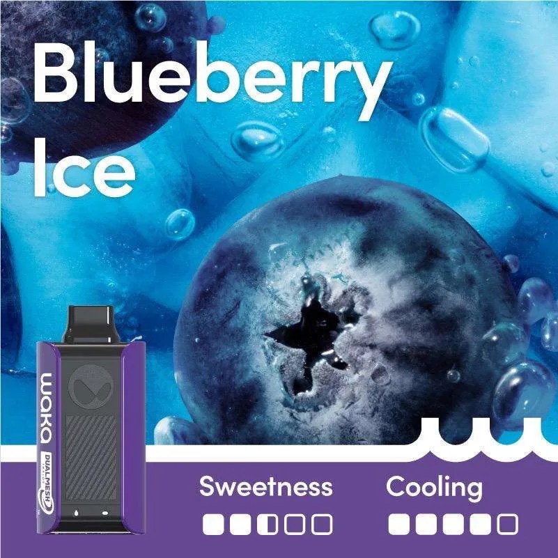 Blueberry Ice – Sopro 10,000 | Waka Sopro 10000 Blueberry Ice Dual Modes Blueberry Ice – SOPRO 10,000