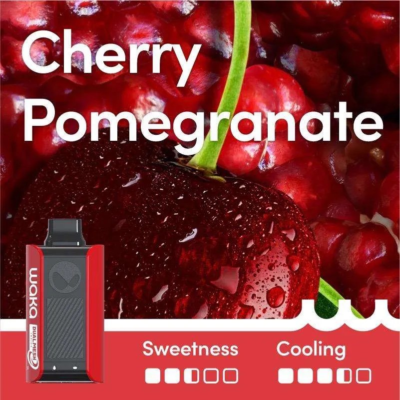 Cherry Pomegranate – Sopro 10,000 | Waka Sopro 10000 Cherry Pomegranate Dual Modes Cherry Pomegranate – SOPRO 10,000